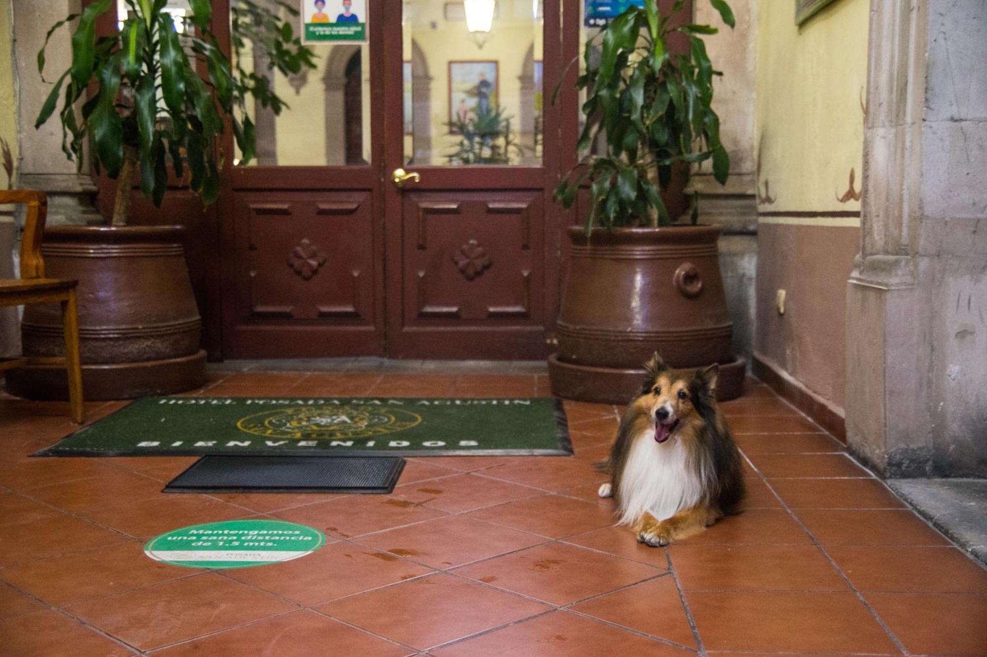 Hotel Posada San Agustin デュランゴ エクステリア 写真